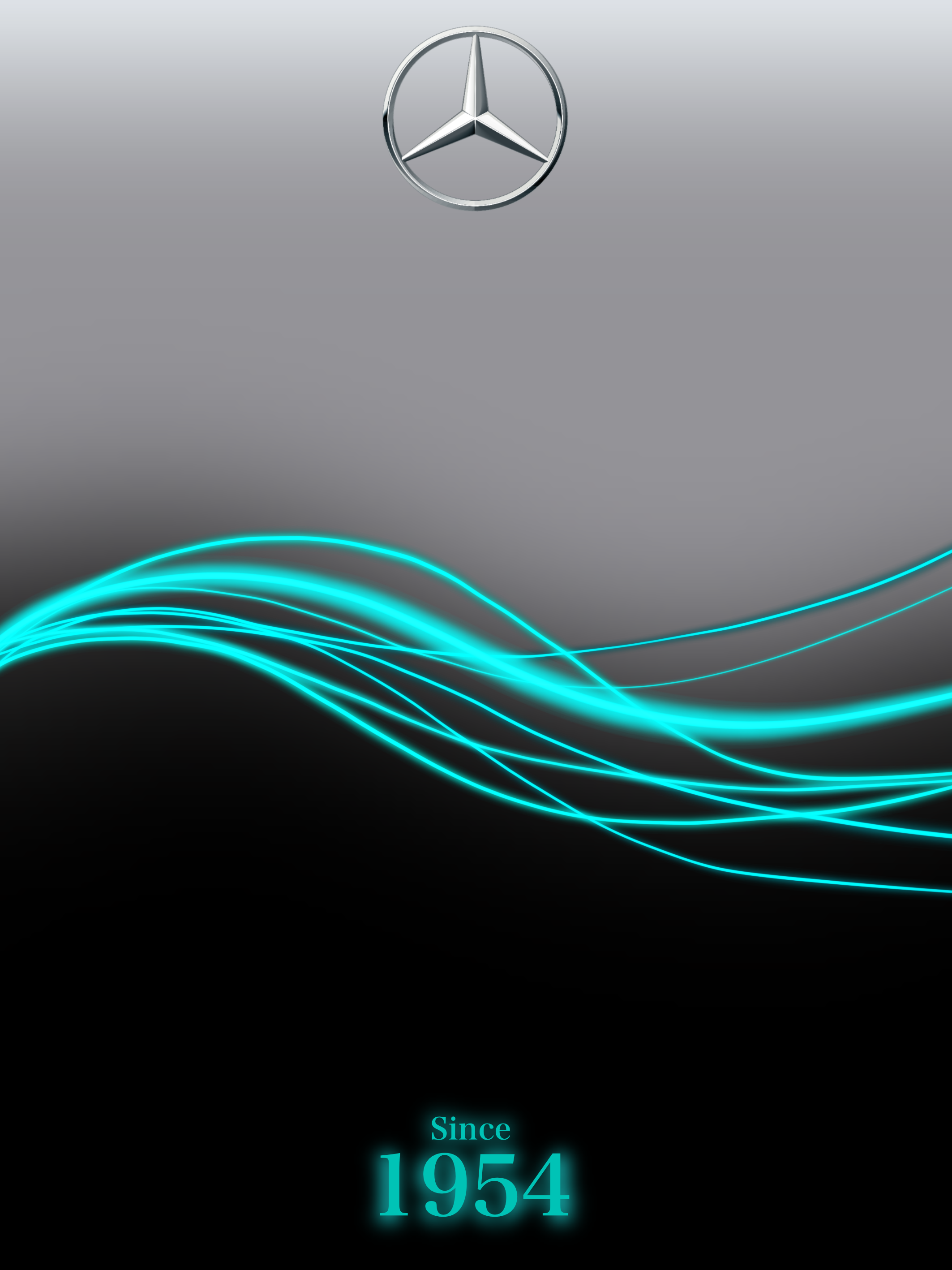 Cadre d'Exposition pour Miniature F1 - Édition Mercedes